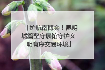 护航南博会！昆明城管坚守展馆守护文明有序交易环境