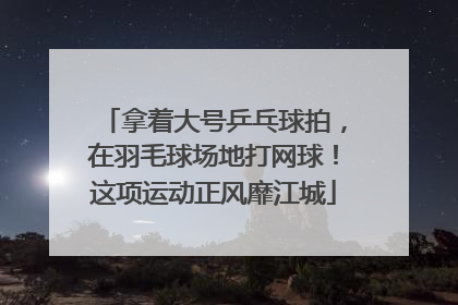 拿着大号乒乓球拍，在羽毛球场地打网球！这项运动正风靡江城