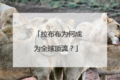 拉布布为何成为全球顶流？