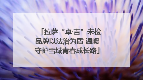 拉萨“卓·吉”未检品牌以法治为盾 温暖守护雪域青春成长路