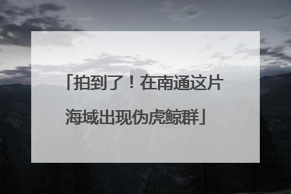 拍到了！在南通这片海域出现伪虎鲸群