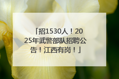 招1530人！2025年武警部队招聘公告！江西有岗！