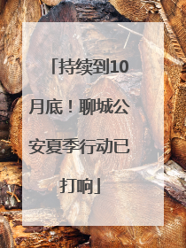 持续到10月底！聊城公安夏季行动已打响