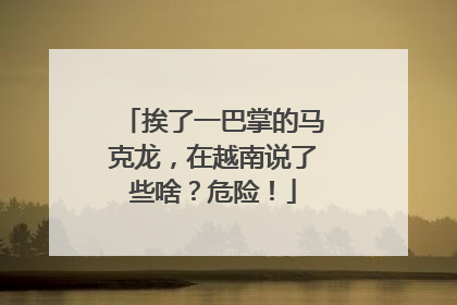 挨了一巴掌的马克龙，在越南说了些啥？危险！