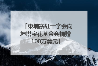 柬埔寨红十字会向坤塔宝花基金会捐赠100万美元