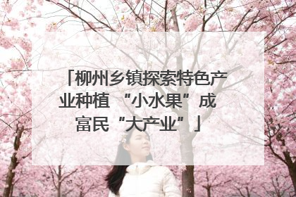 柳州乡镇探索特色产业种植 “小水果”成富民“大产业”