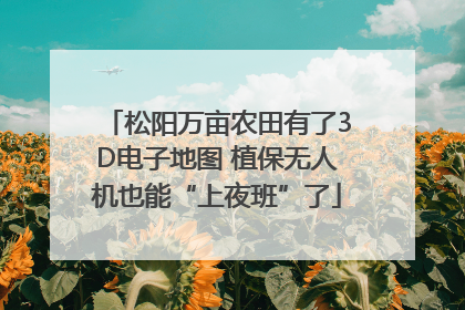 松阳万亩农田有了3D电子地图 植保无人机也能“上夜班”了
