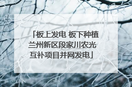 板上发电 板下种植 兰州新区段家川农光互补项目并网发电