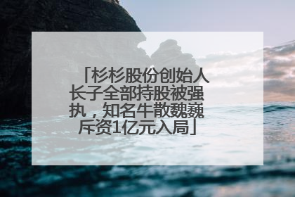杉杉股份创始人长子全部持股被强执，知名牛散魏巍斥资1亿元入局
