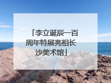 李立诞辰一百周年特展亮相长沙美术馆