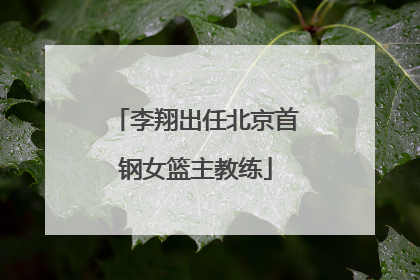 李翔出任北京首钢女篮主教练