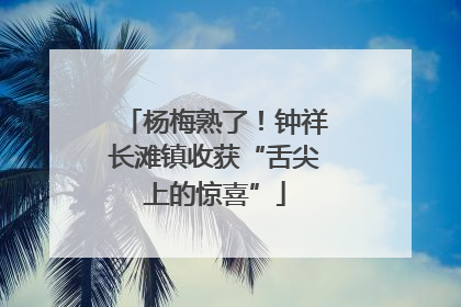 杨梅熟了！钟祥长滩镇收获“舌尖上的惊喜”