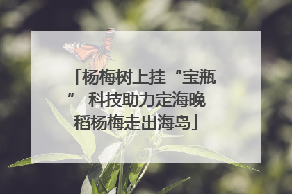 杨梅树上挂“宝瓶” 科技助力定海晚稻杨梅走出海岛