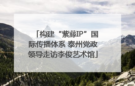 构建“紫藤IP”国际传播体系 泰州党政领导走访李俊艺术馆