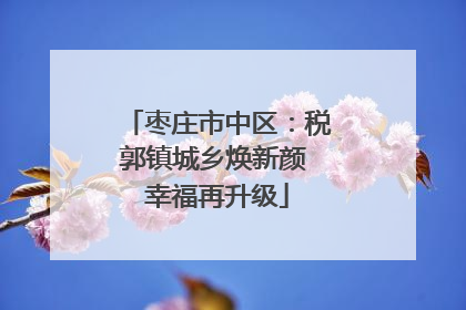 枣庄市中区：税郭镇城乡焕新颜 幸福再升级