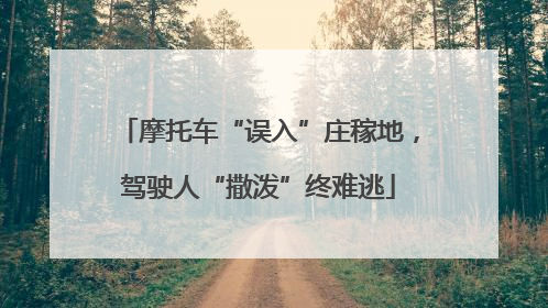摩托车“误入”庄稼地，驾驶人“撒泼”终难逃