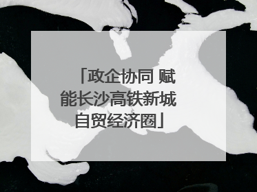 政企协同 赋能长沙高铁新城自贸经济圈