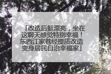 改造后挺漂亮，坐在这聊天感觉特别幸福！东西江家巷经提质改造变身居民自治幸福家