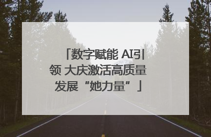 数字赋能 AI引领 大庆激活高质量发展“她力量”