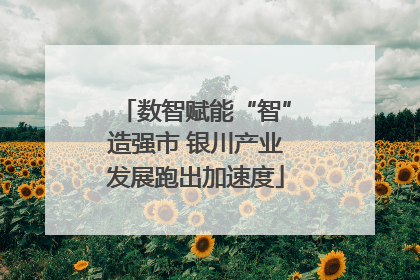 数智赋能“智”造强市 银川产业发展跑出加速度