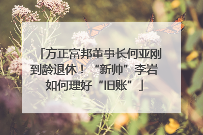 方正富邦董事长何亚刚到龄退休！“新帅”李岩如何理好“旧账”