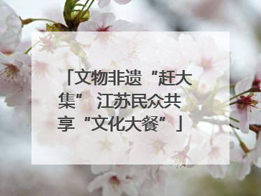 文物非遗“赶大集” 江苏民众共享“文化大餐”