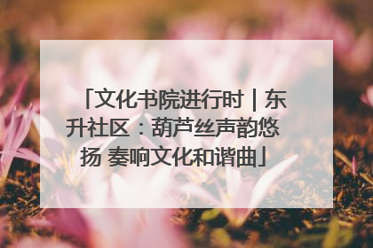 文化书院进行时｜东升社区：葫芦丝声韵悠扬 奏响文化和谐曲