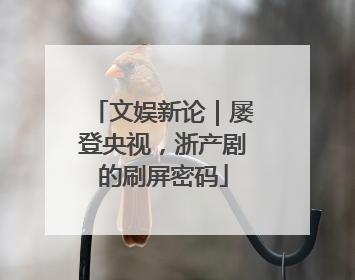 文娱新论｜屡登央视，浙产剧的刷屏密码