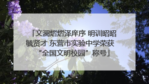 文澜熠熠泽庠序 明训昭昭毓贤才 东营市实验中学荣获“全国文明校园”称号