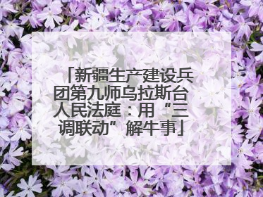 新疆生产建设兵团第九师乌拉斯台人民法庭：用“三调联动”解牛事