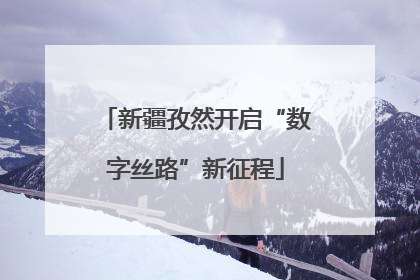 新疆孜然开启“数字丝路”新征程