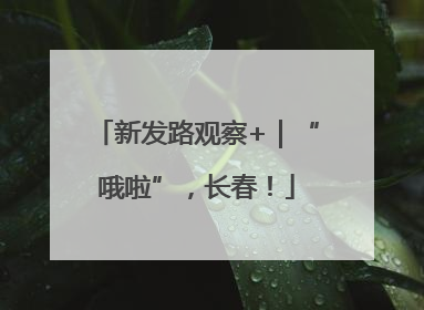 新发路观察+｜“哦啦”，长春！