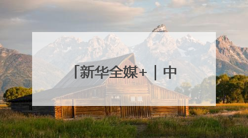新华全媒+｜中欧班列累计开行110000列