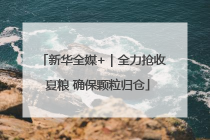 新华全媒+｜全力抢收夏粮 确保颗粒归仓