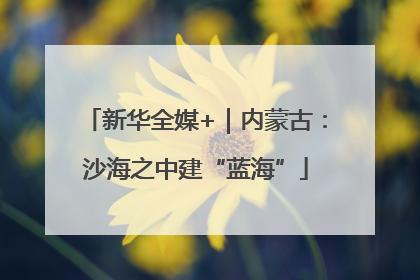 新华全媒+｜内蒙古：沙海之中建“蓝海”