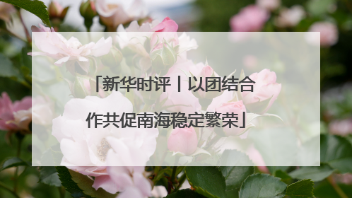 新华时评丨以团结合作共促南海稳定繁荣