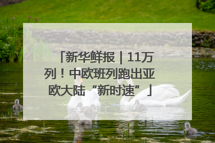新华鲜报｜11万列！中欧班列跑出亚欧大陆“新时速”