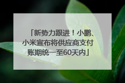 新势力跟进！小鹏、小米宣布将供应商支付账期统一至60天内