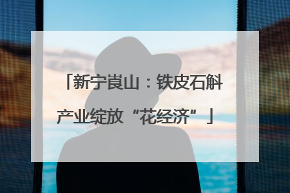 新宁崀山：铁皮石斛产业绽放“花经济”