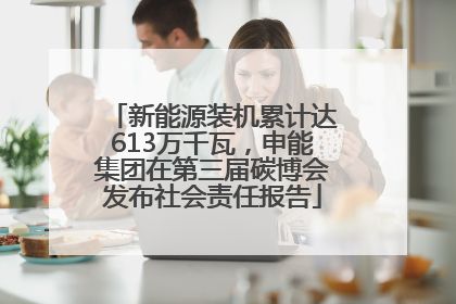 新能源装机累计达613万千瓦，申能集团在第三届碳博会发布社会责任报告
