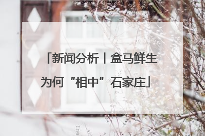 新闻分析丨盒马鲜生为何“相中”石家庄