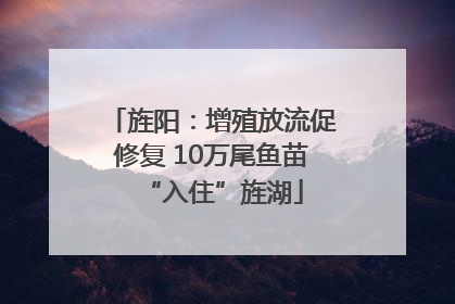 旌阳：增殖放流促修复 10万尾鱼苗“入住”旌湖