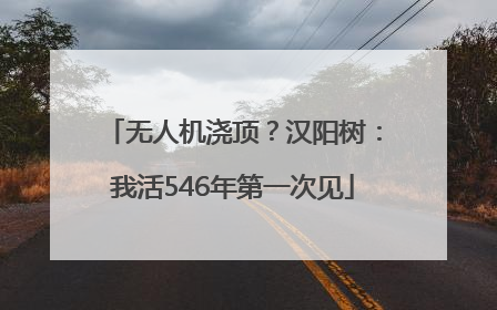 无人机浇顶？汉阳树：我活546年第一次见