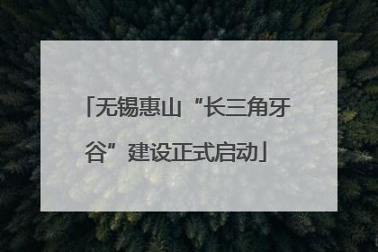 无锡惠山“长三角牙谷”建设正式启动