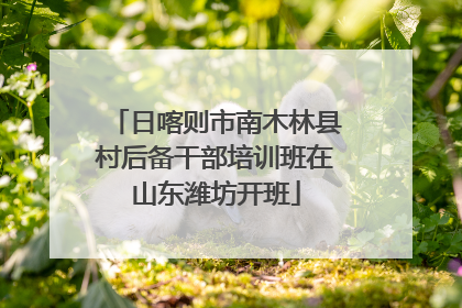 日喀则市南木林县村后备干部培训班在山东潍坊开班