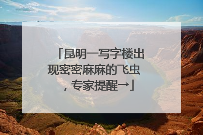 昆明一写字楼出现密密麻麻的飞虫，专家提醒→