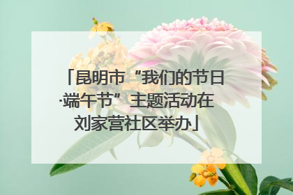 昆明市“我们的节日·端午节”主题活动在刘家营社区举办