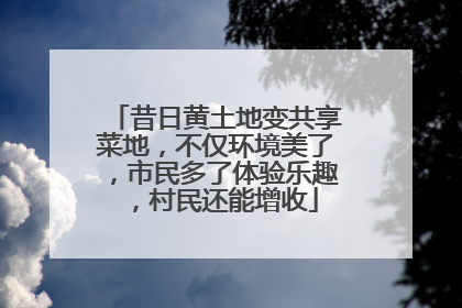 昔日黄土地变共享菜地，不仅环境美了，市民多了体验乐趣，村民还能增收
