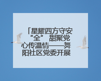 星耀四方守安“全” 甜聚党心传温情——舞阳社区党委开展流动党员建党节主题活动
