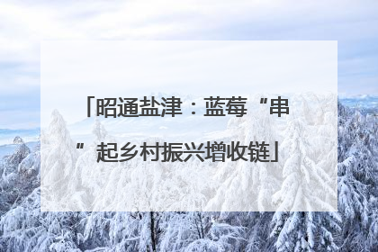 昭通盐津：蓝莓“串”起乡村振兴增收链